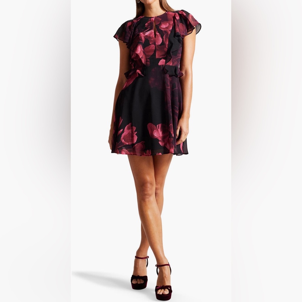 New - Ted Baker London Bretaah Floral Minidress